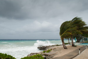 Kindness during Hurricane season